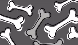 Li'l Pals Adjustable Patterned Dog Collar