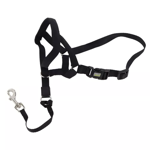 Walk 'n Train!® Dog Head Halter Product image