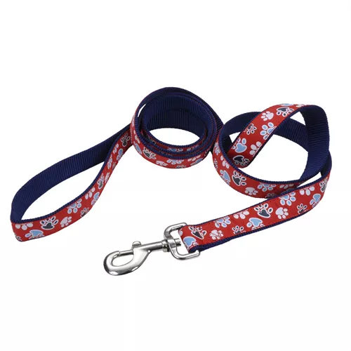 Ribbon Dog Leash Product image