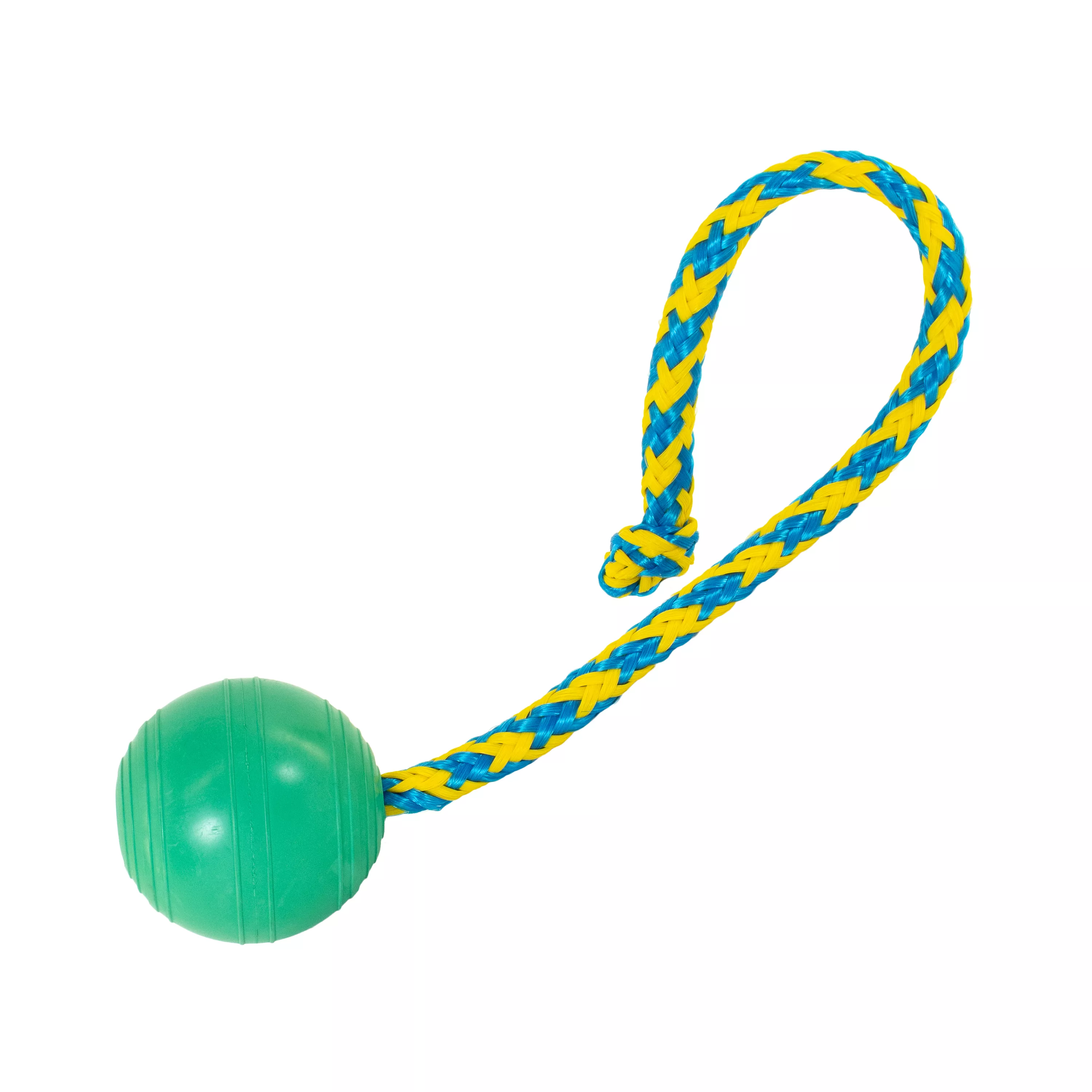 Green rubber ball toy attached to a blue and yellow braided rope loop, isolated on a white background.