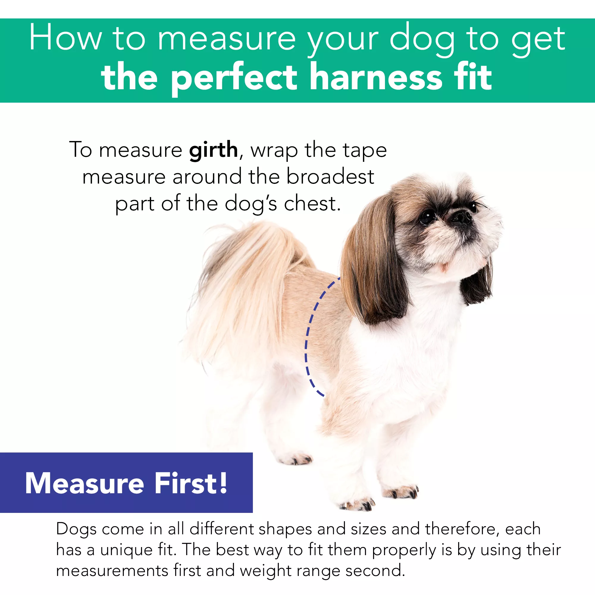 small_harness_sizing.jpg