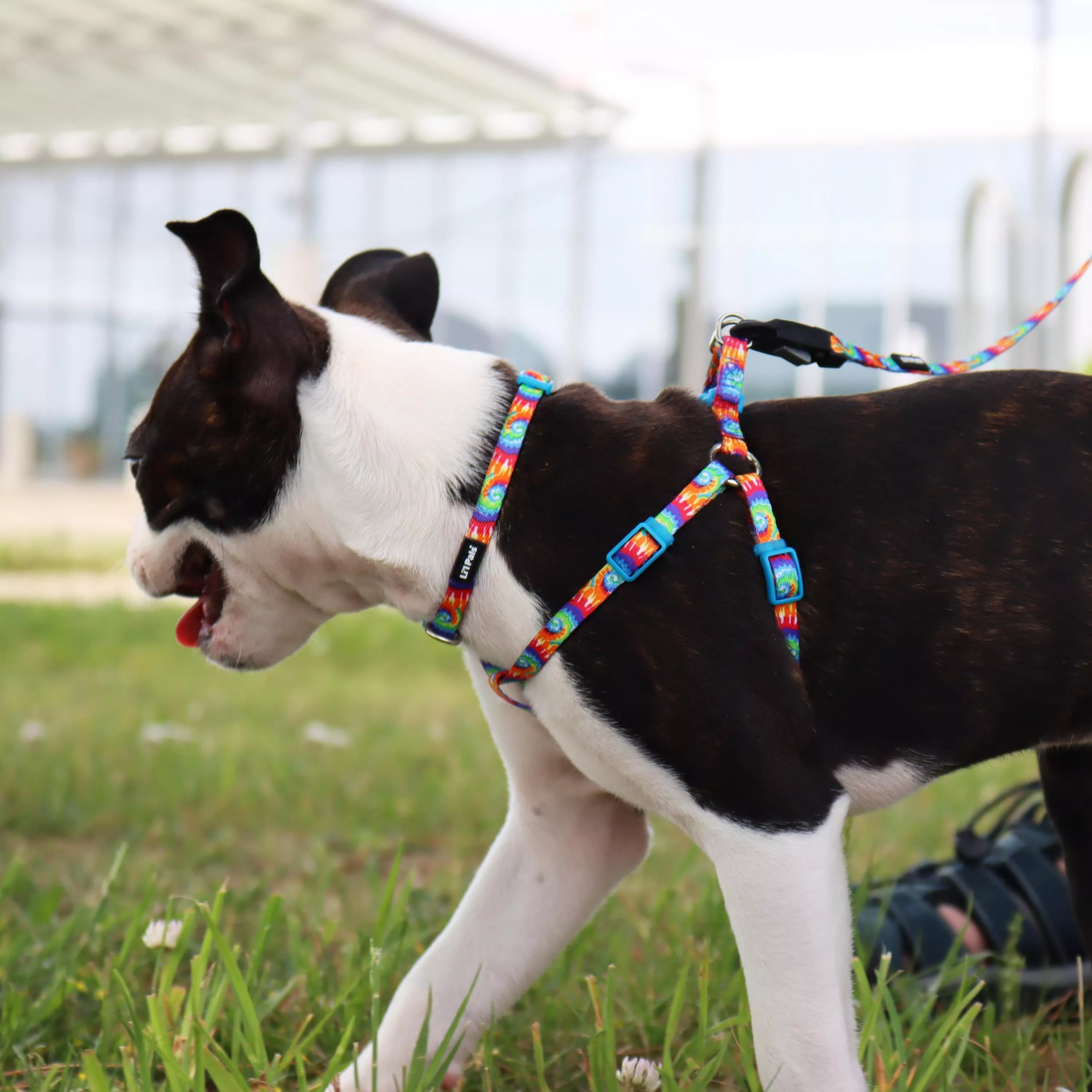 6221_BTD_6245_BTD_6226_BTD_16 (1).jpg