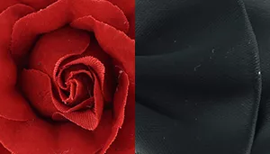 Li'l Pals by Coastal Charming Embellishment 2-Pack