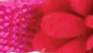 Safe Cat Embellished Fashion Collar