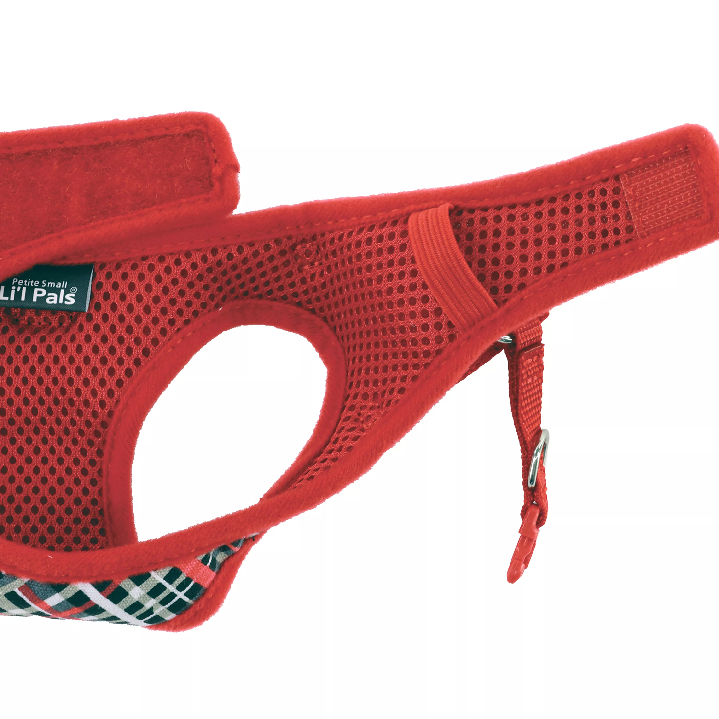 06249 RYP - Open.jpg