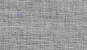 Bergan Collapsible Crate