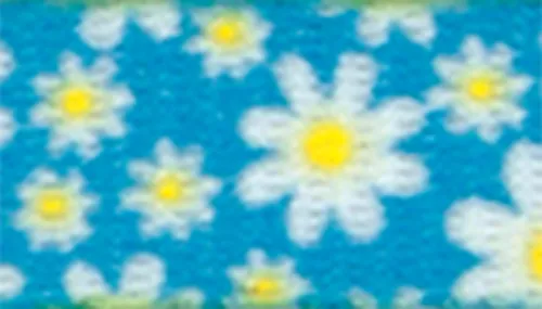 Safe Cat® Fashion Adjustable Breakaway Collar Product image