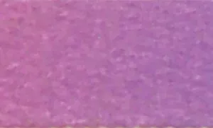 Li'l Pals Adjustable Patterned Dog Collar