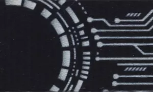 Inspire Adjustable Fashion Dog Collar