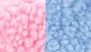 Li'l Pals Fleece Dog Toys