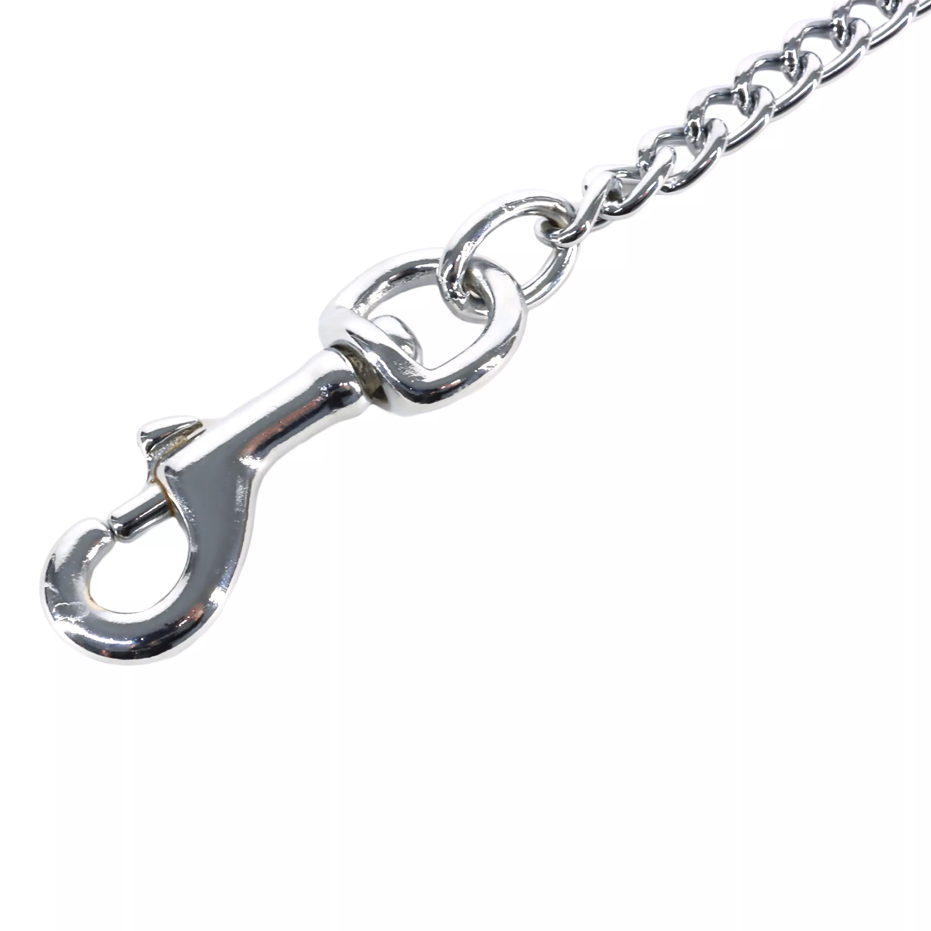 05503  Z   BLK04-close.jpg