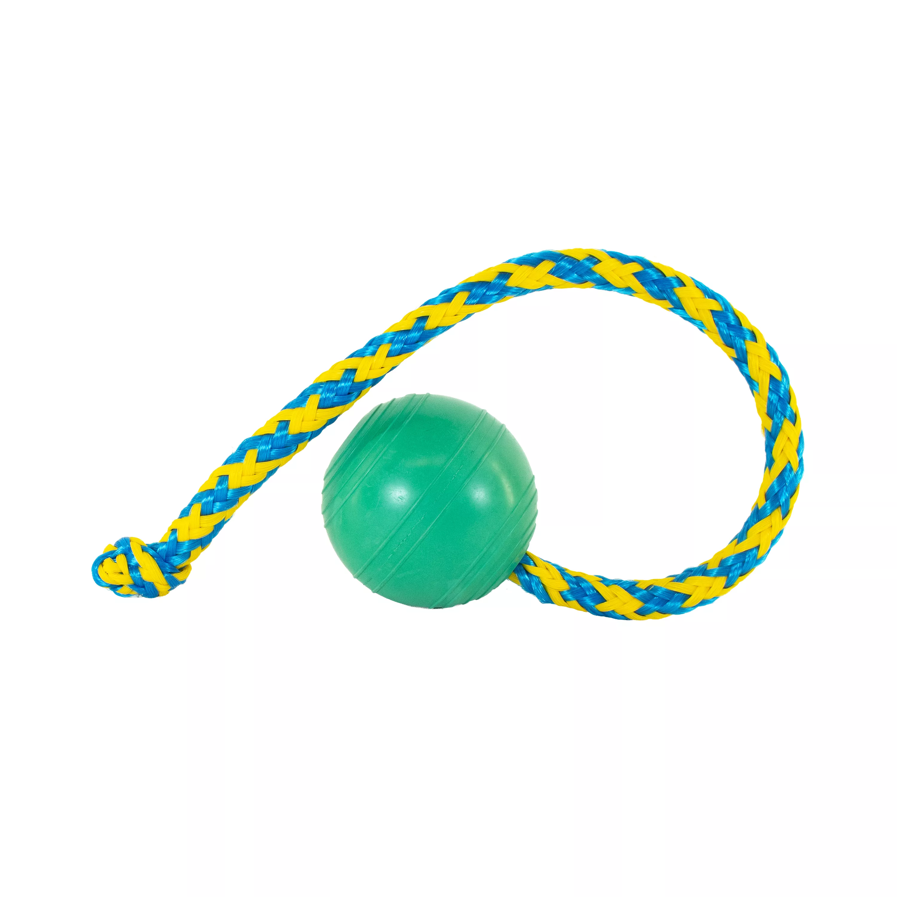 Green rubber ball toy attached to a blue and yellow braided rope loop, isolated on a white background.