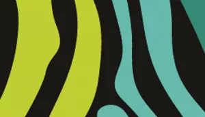 Safe Cat Adjustable Breakaway Cat Collar with Magnetic Buckle