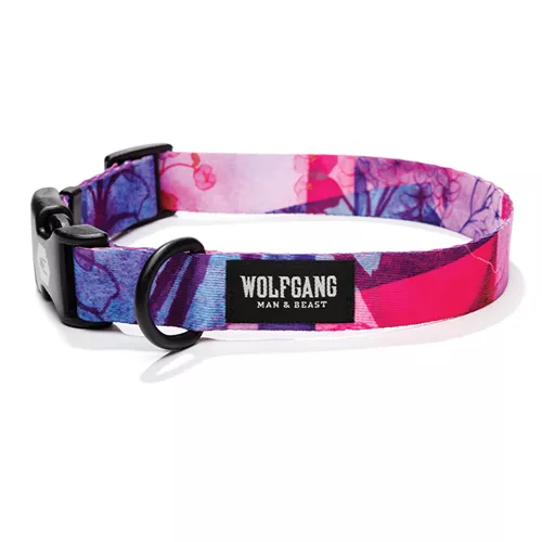 Wolfgang DayDream Dog Collar Product image