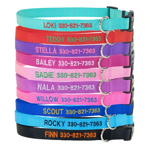 Coastal® Adjustable Dog Collar with Plastic Buckle - Personalized Product image
