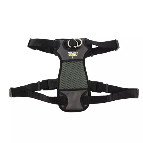 Walk Right!® Front-Connect No-Pull Padded Dog Harness Product image