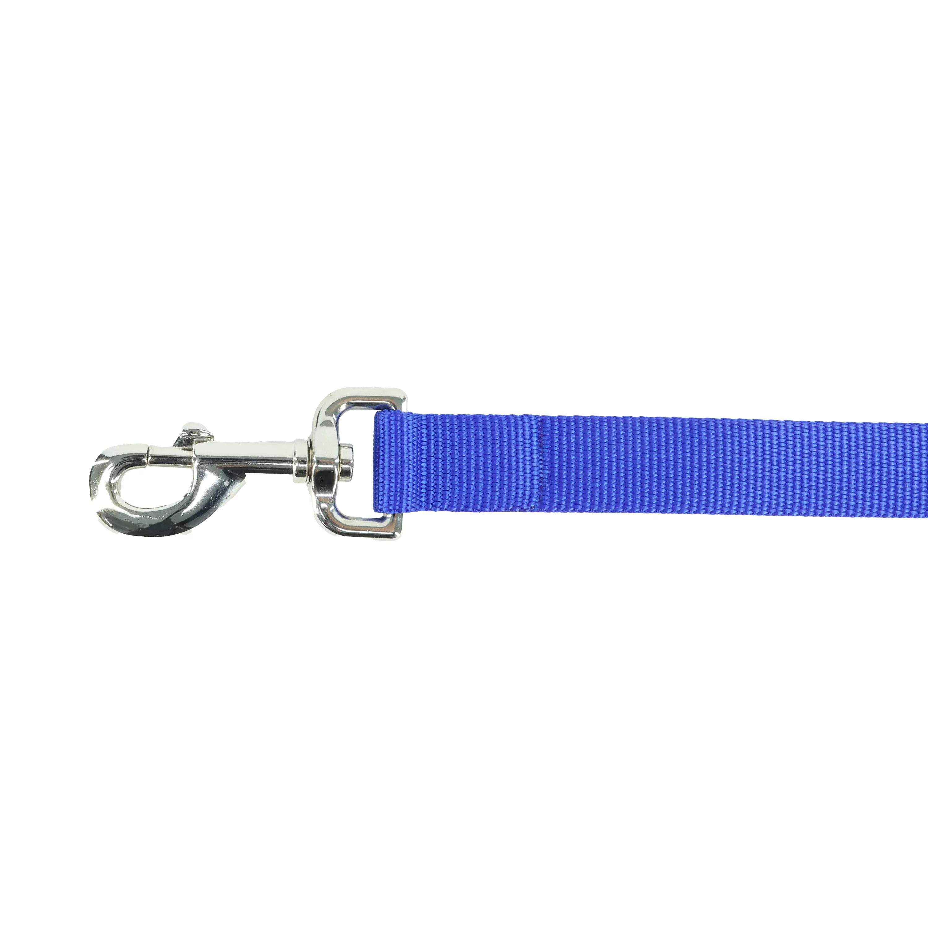 A blue single‑ply woven nylon dog leash segment with a metal snap clip is displayed on a white background. The strap connects to a silver‑colored swivel snap clip with a spring‑loaded clasp. The section shown includes the reinforced stitching near the hardware.