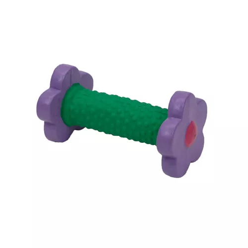 Li'l Pals® Latex Flower Dog Toy Product image