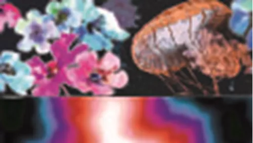 Sublime® Dog Leash Product image