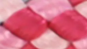 Li'l Pals by Coastal Posh Reflective Tri-Color Rope Dog Leash