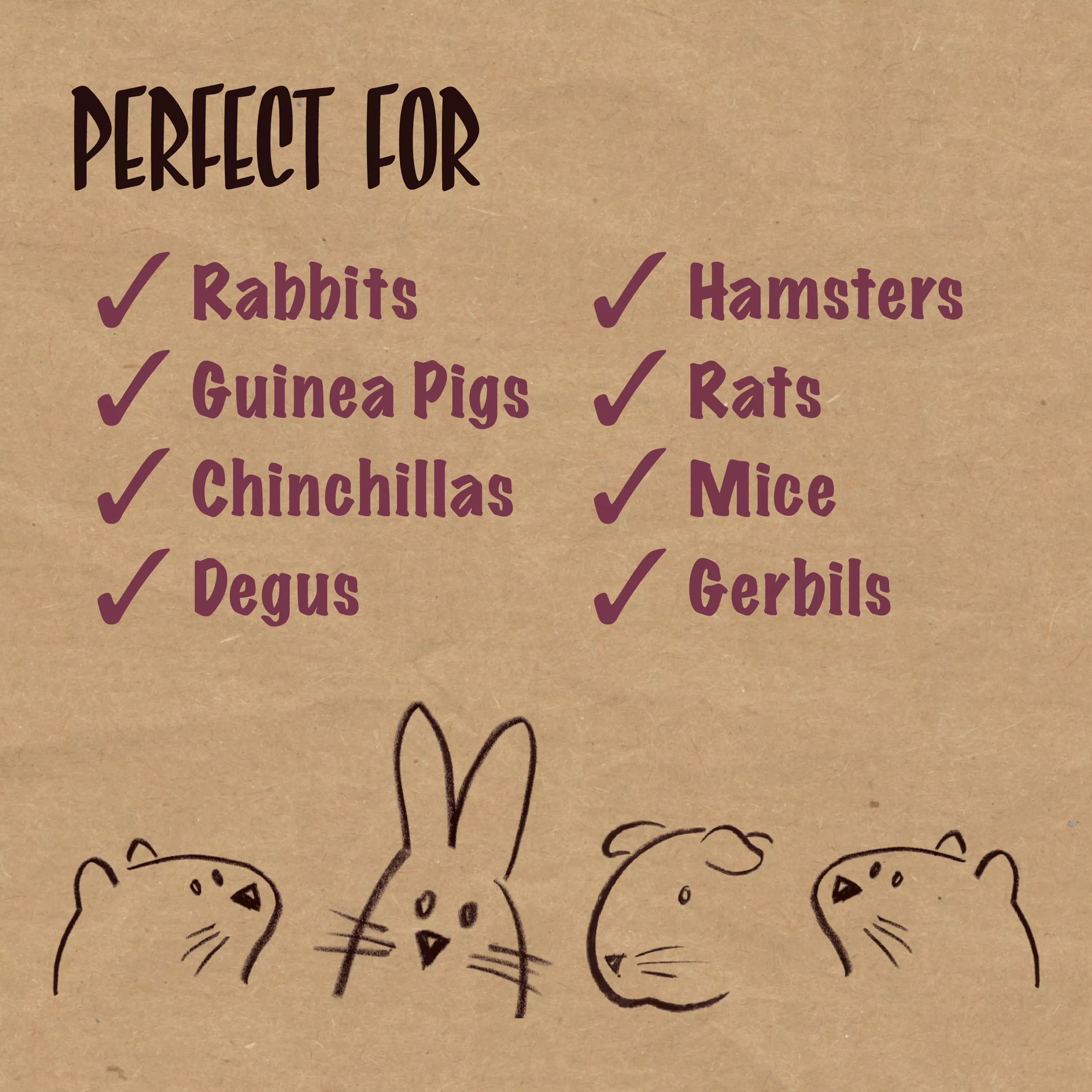 Graphic listing suitable small pets for the product. Text reads: “Perfect For” and includes rabbits, guinea pigs, chinchillas, degus, hamsters, rats, mice, and gerbils. Simple line illustrations of a guinea pig, rabbit, and other small pets appear along the bottom of the image.