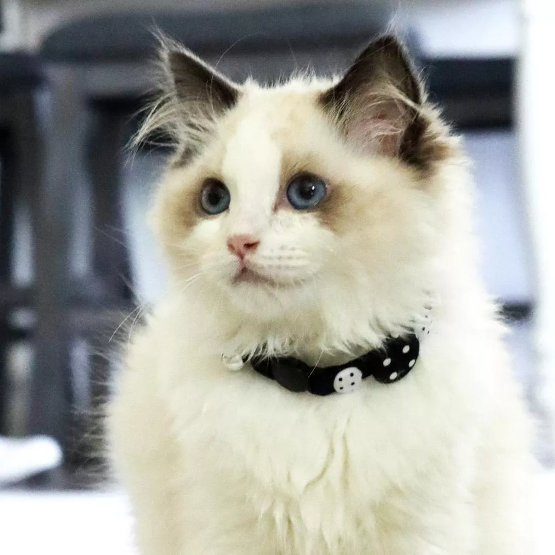 IMG_5060 2.20200624173020182.jpg