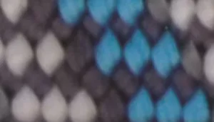 ElastaCat Reflective Safety Stretch Collar with Reflective Charm