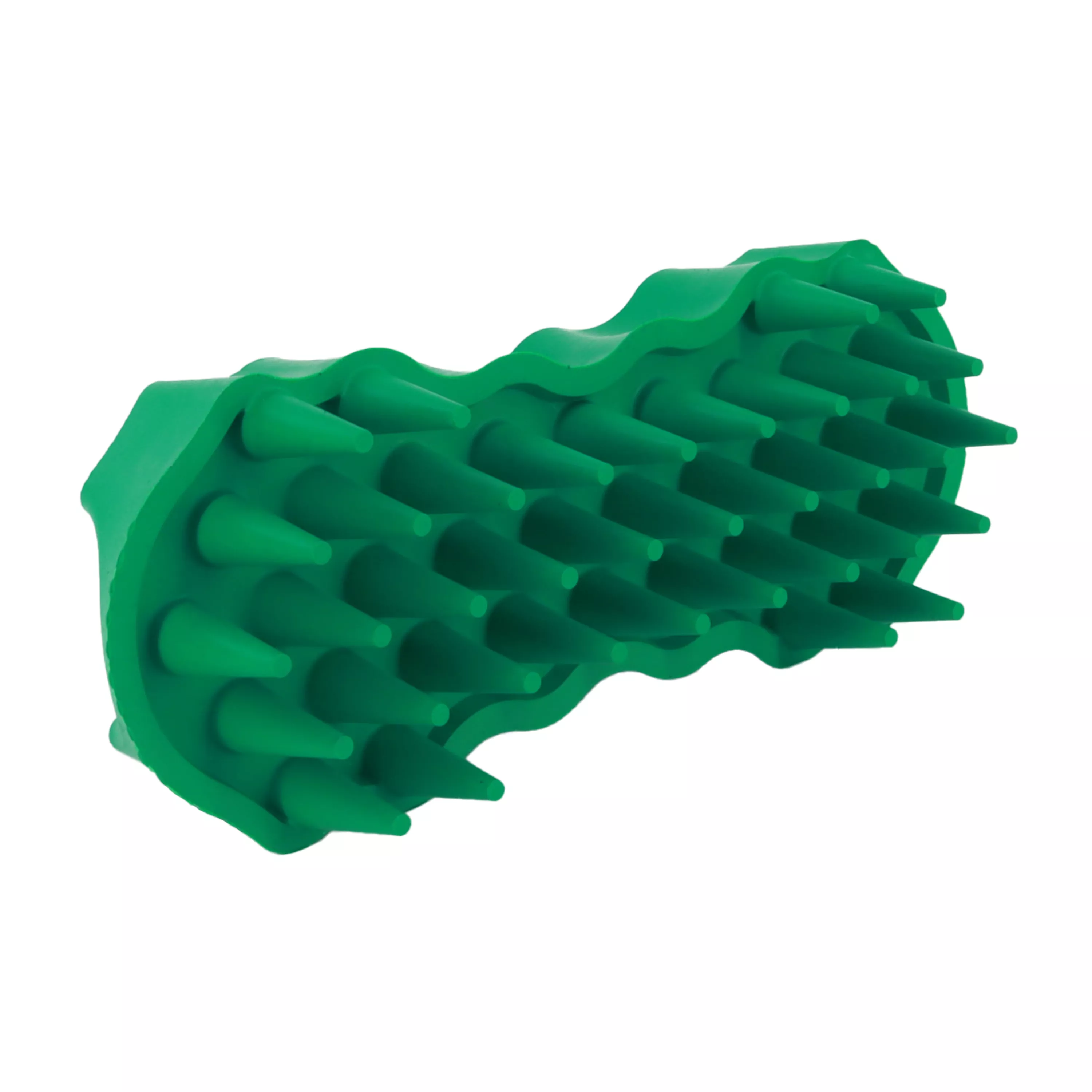 Groom Bug - Large 3.jpg