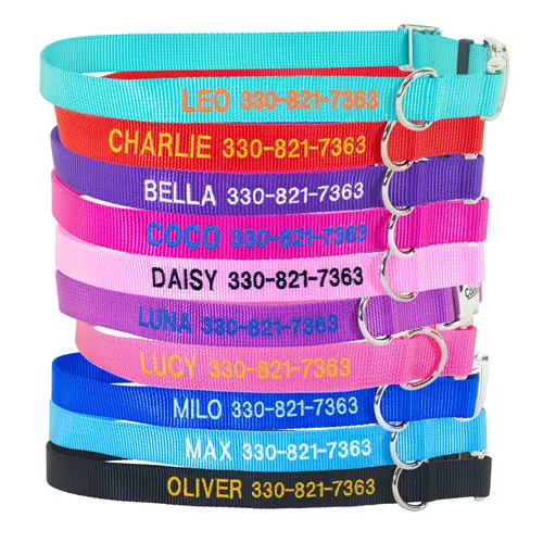 Coastal® Adjustable Dog Collar with Metal Buckle - Personalized Product image
