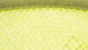 Comfort Soft Wrap Adjustable Dog Harness - Personalized