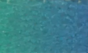 Li'l Pals Patterned Dog Leash with E-Z Snap