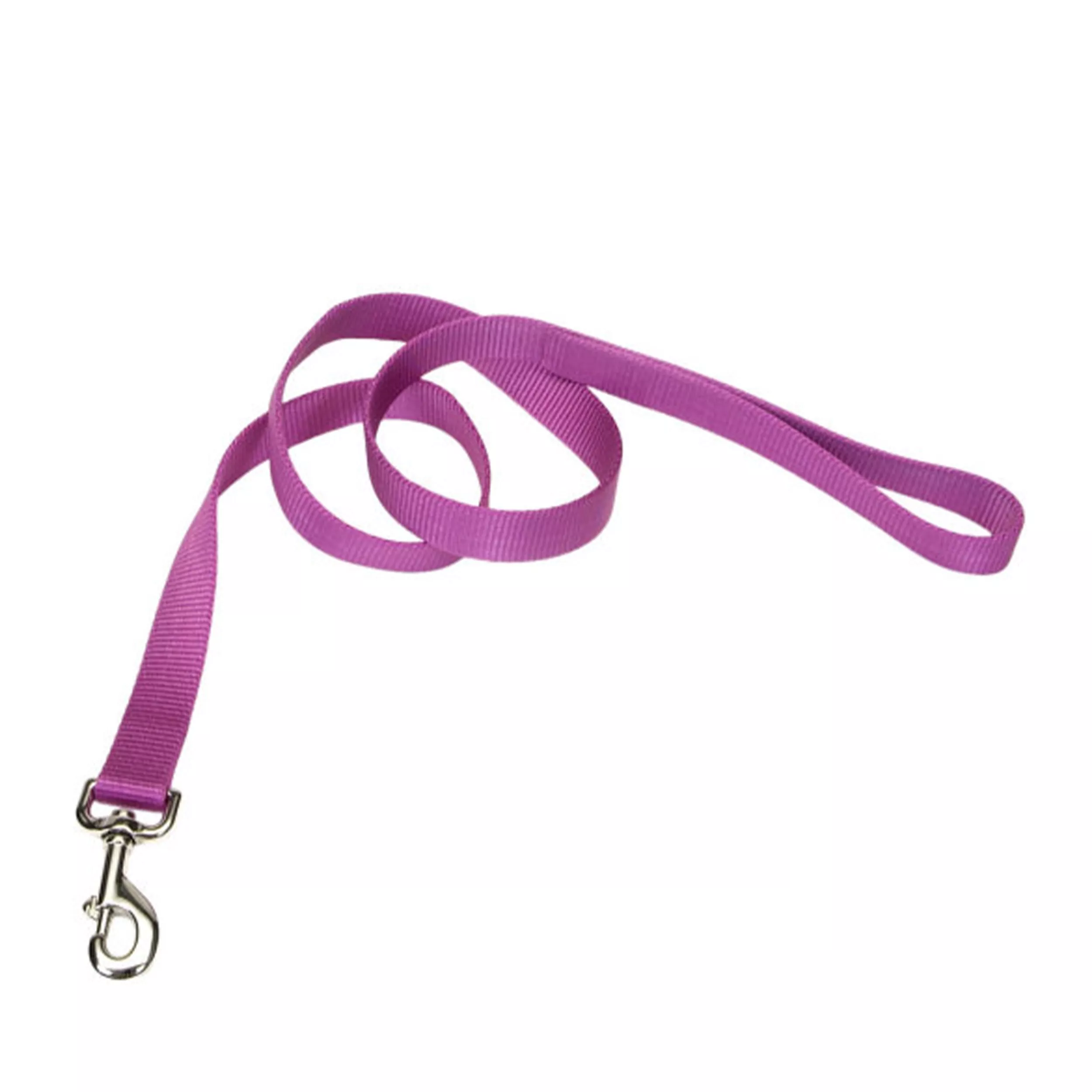 A product‑only image of an orchid single‑ply dog leash displayed against a white background. The leash is made of woven nylon with a ribbed texture and a bright purple. One end contains a looped handle, and the opposite end features a silver‑tone metal swivel bolt‑snap clasp attached with a folded stitched section. The leash is coiled to show its length and material.