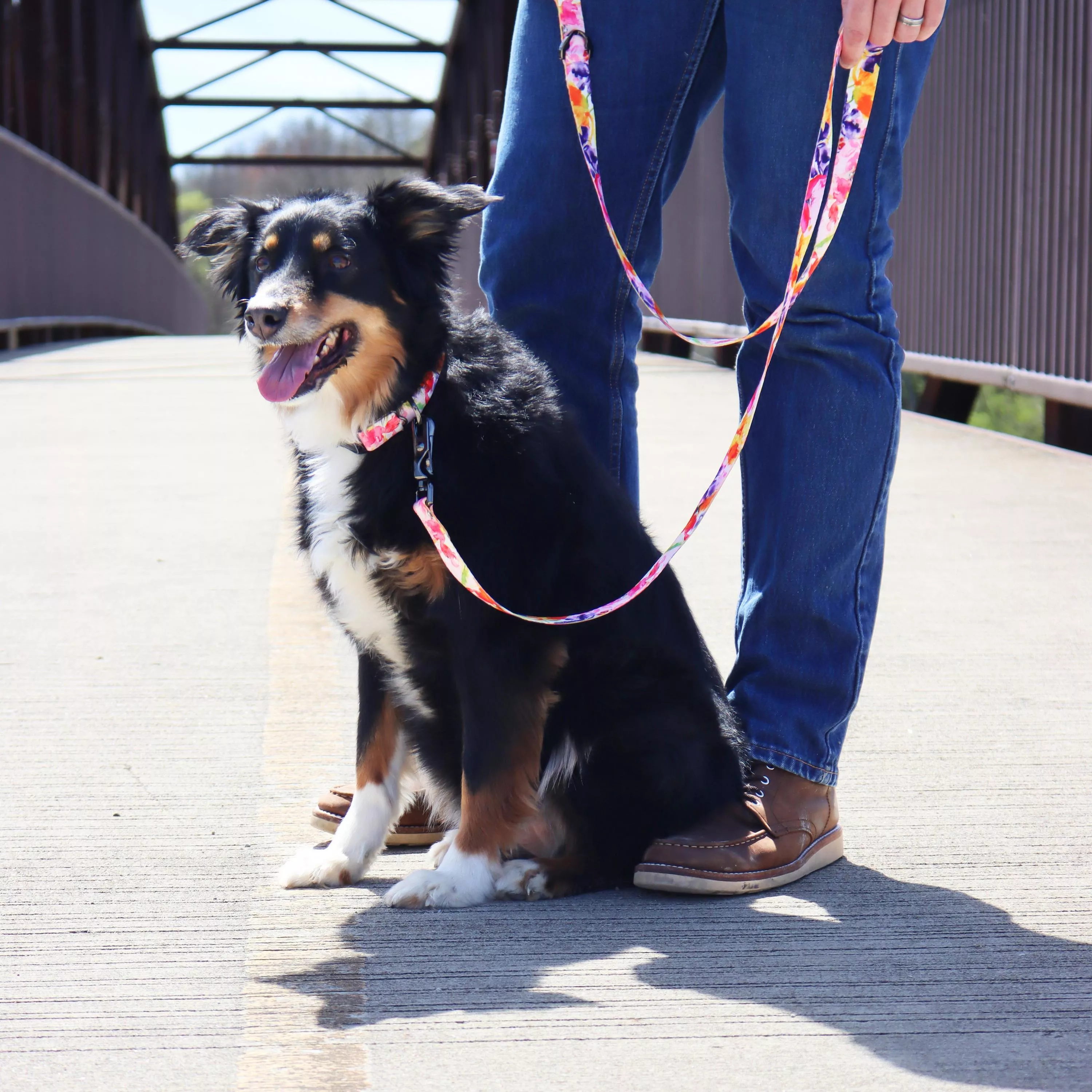 15953 SHB20_15456 SHB06_4.jpg