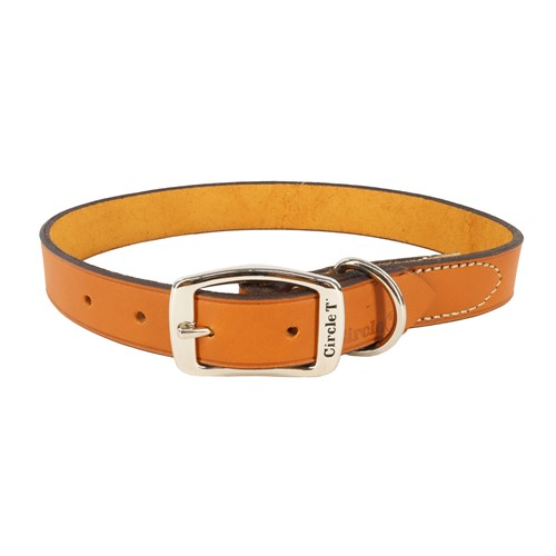 Circle T® Oak Tanned Leather Town Dog Collar Product image