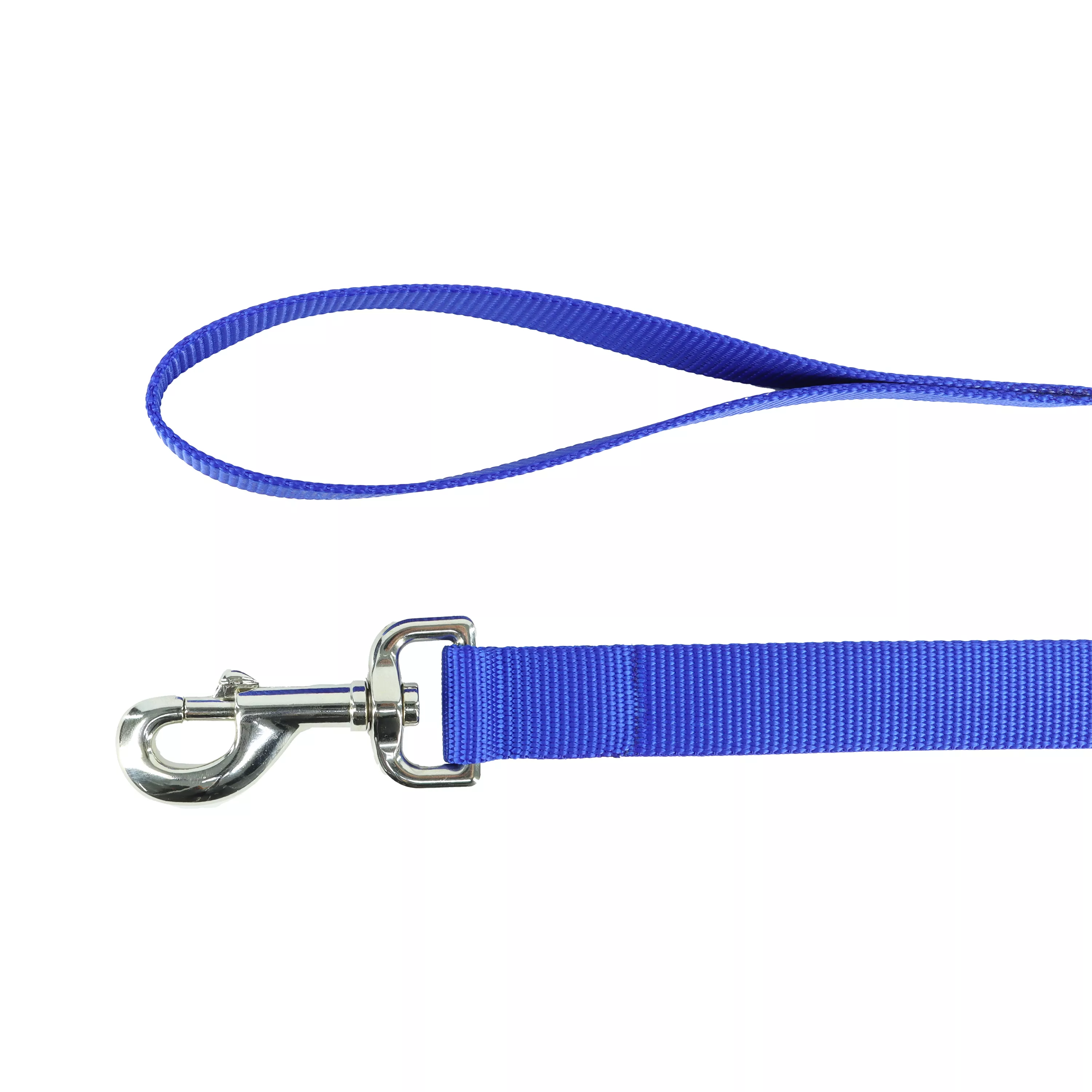 A product‑only image of a blue single‑ply dog leash displayed against a white background. The leash features a looped handle, a ribbed woven nylon strap, and a silver‑tone metal swivel bolt‑snap clasp secured at one end with reinforced stitching. The leash is arranged in a loose coil.