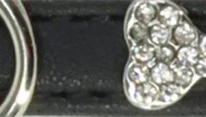 Li'l Pals by Coastal Posh B'Dazzled Bone Dog Collars