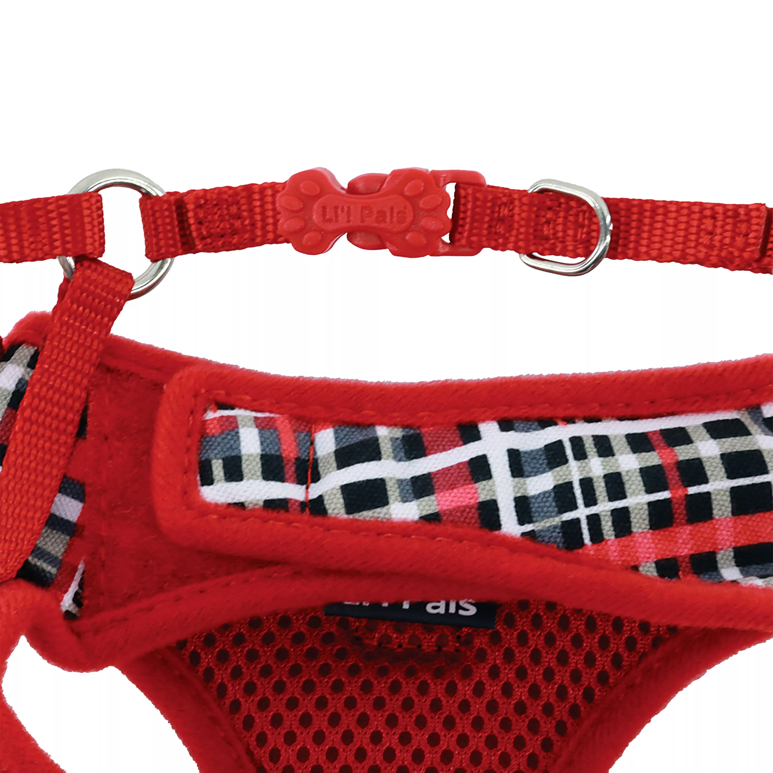 06249 RYP - Close.jpg