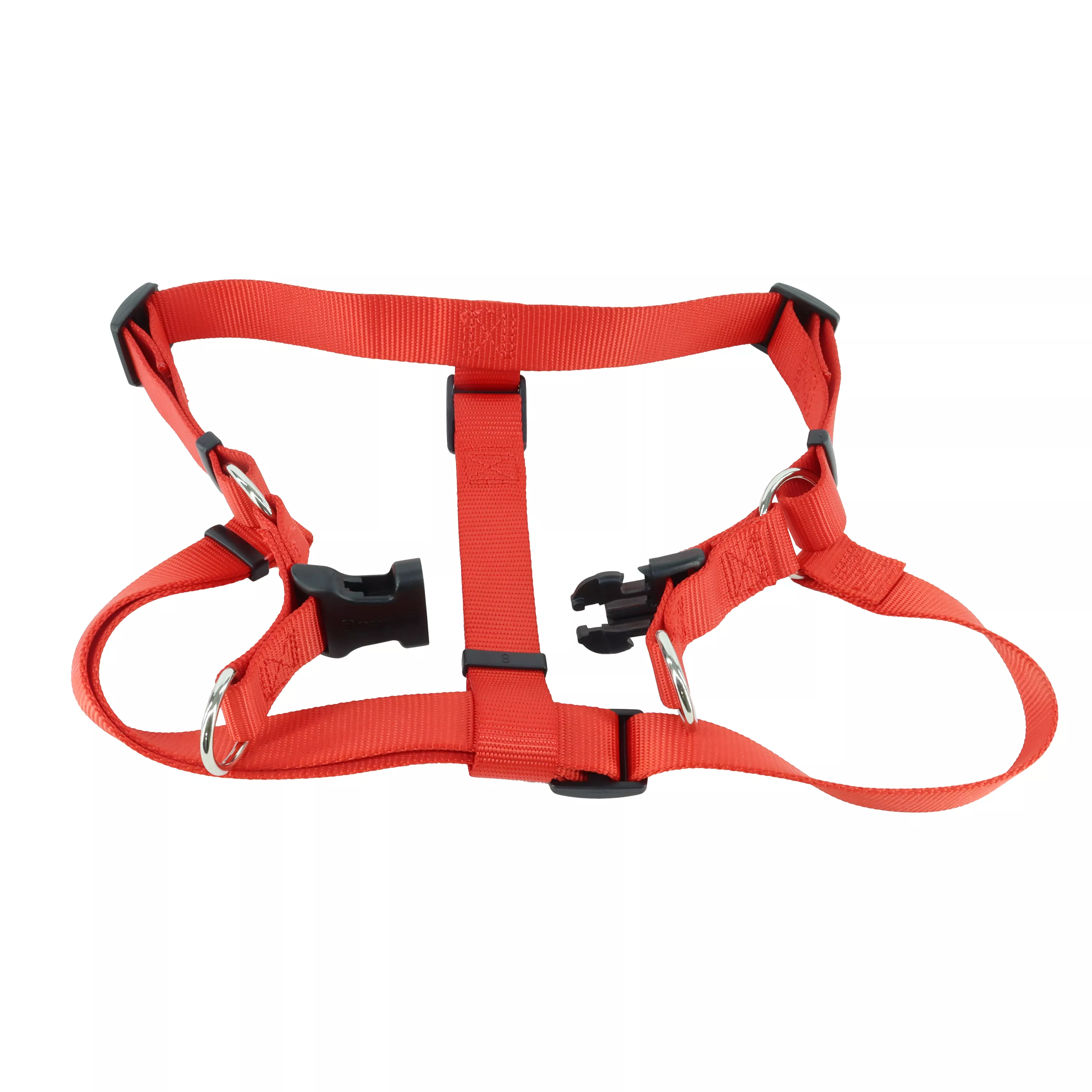 06945 RED40 Open copy.jpg