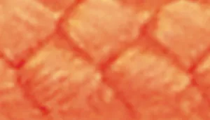 Water & Woods Braided Rope Dog Slip Leash