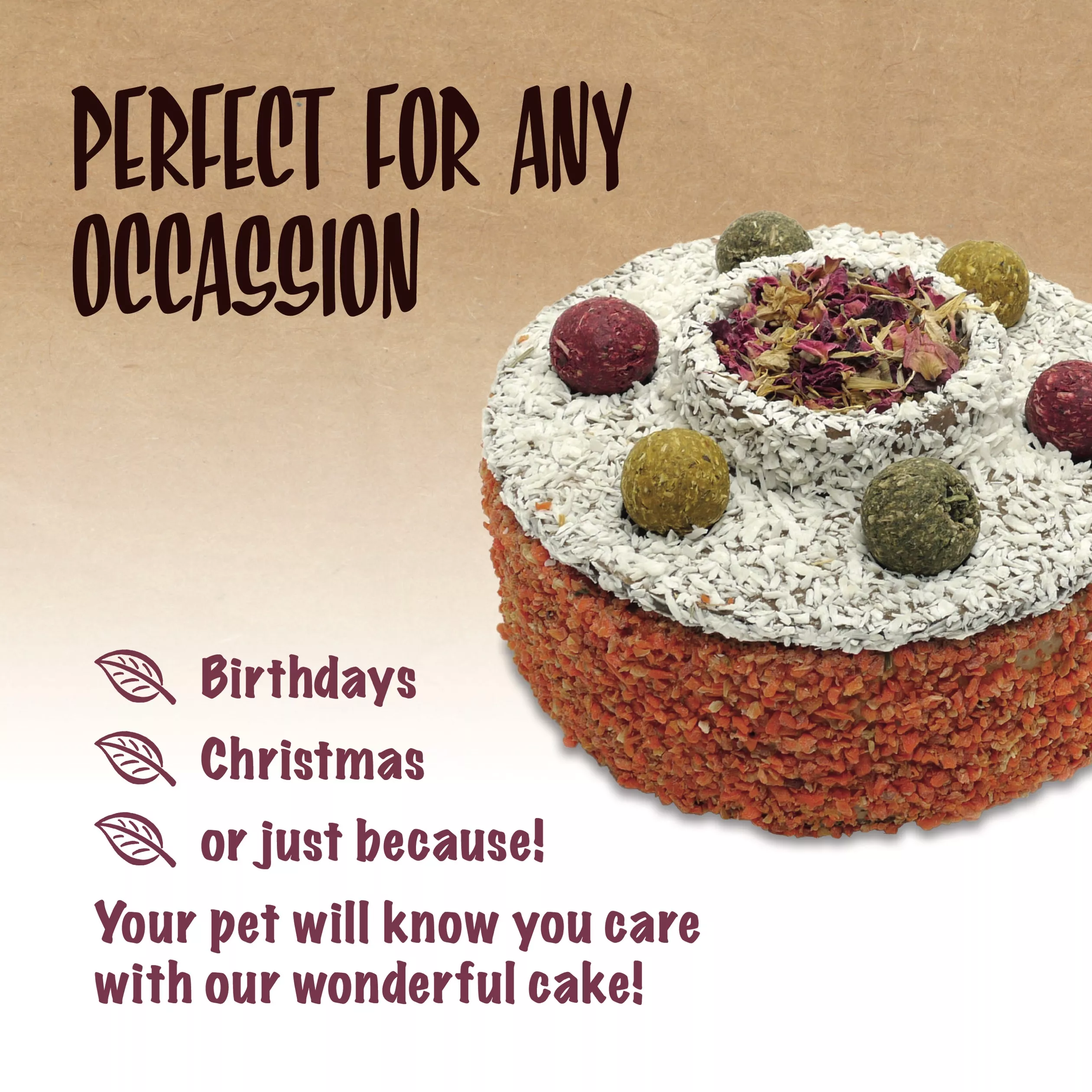 Round small animal celebration cake coated in dried vegetable pieces and topped with coconut flakes, colorful natural treats, and a center section of dried flowers and forage. Text on the image reads: “Perfect for Any Occasion” and suggests the cake for birthdays, Christmas, or everyday treats. Additional text states: “Your pet will know you care with our wonderful cake!”