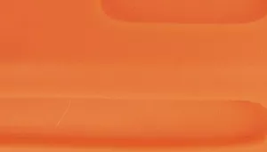 Water & Woods Vinyl Dog Training Dummies