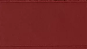 Circle T Oak Tanned Leather Dog Leash - Personalized